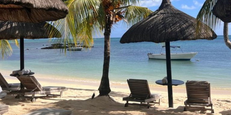 Tropical beach scene with palm trees and shaded lounge chairs on sand, overlooking a calm turquoise sea with a boat. Relaxing and serene atmosphere.