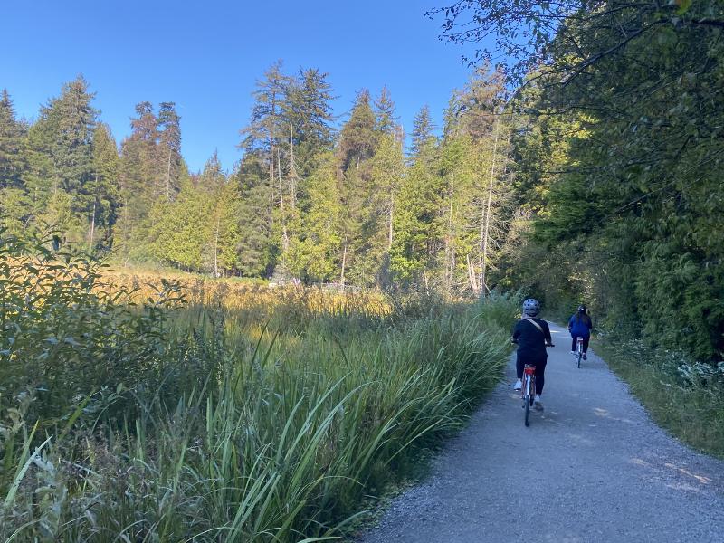 Two cyclists ride on a gravel path through a lush forest on a sunny day in Canada. Tall trees and green grass border the trail, creating a serene atmosphere.